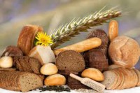 /album/fotogalerie-uvod/images-4-jpg/